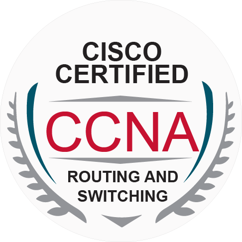 Cisco CCNA, CCNP, CCIE Certified Trainers | Network Bulls Technical Team