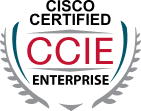 CCIE EI/R&S lab training